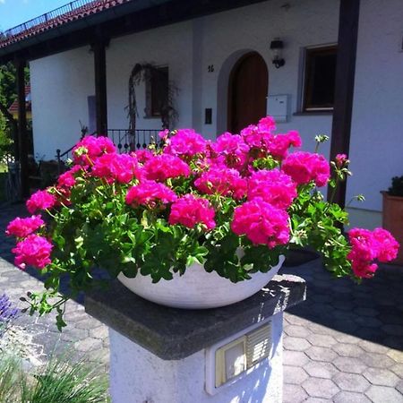 Haus Saentisblick Διαμέρισμα Eriskirch Εξωτερικό φωτογραφία