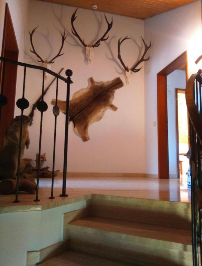 Haus Saentisblick Διαμέρισμα Eriskirch Εξωτερικό φωτογραφία