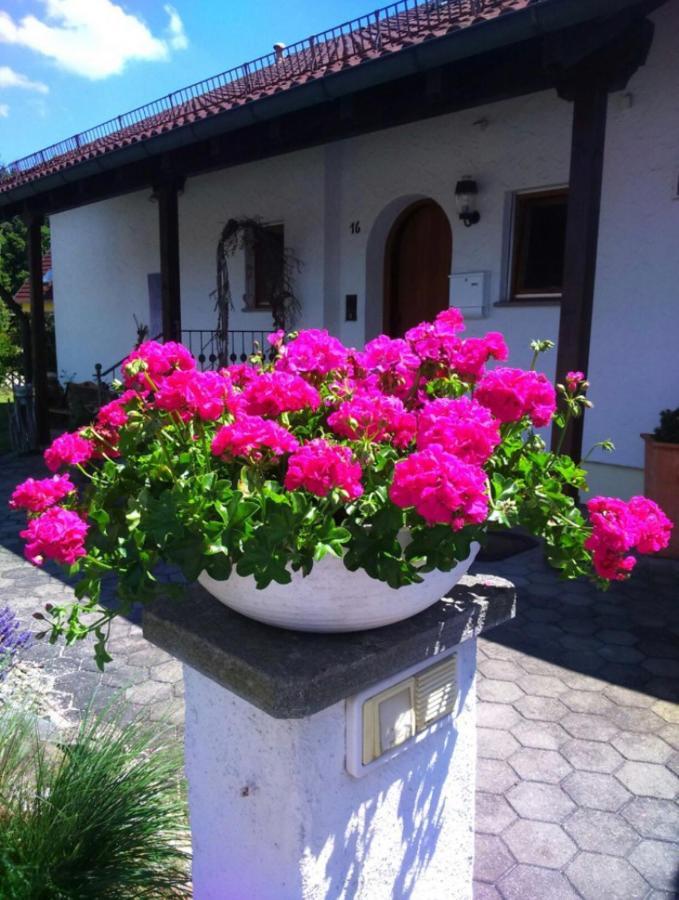 Haus Saentisblick Διαμέρισμα Eriskirch Εξωτερικό φωτογραφία